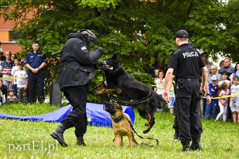 Policyjny festyn na bulwarze zdjęcie nr 156793