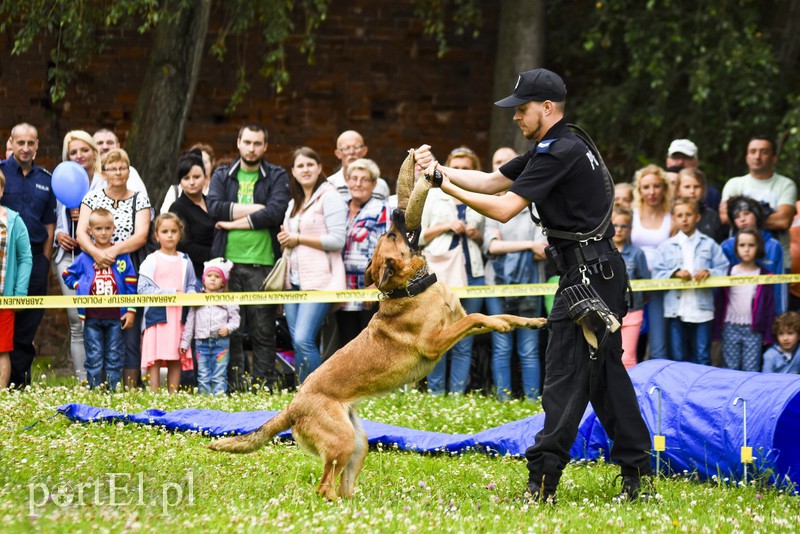 Policyjny festyn na bulwarze zdjęcie nr 156778