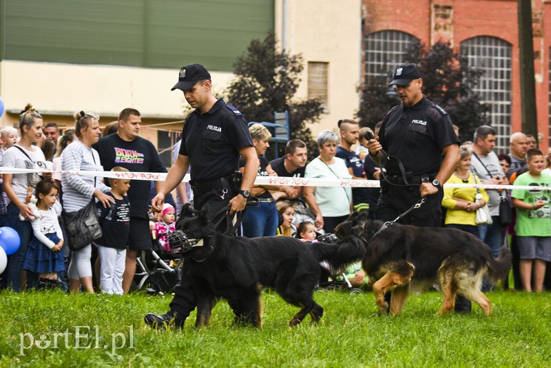 Policyjny festyn na bulwarze zdjęcie nr 156759