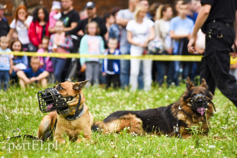 Policyjny festyn na bulwarze zdjęcie nr 156774