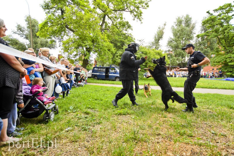 Policyjny festyn na bulwarze zdjęcie nr 156790