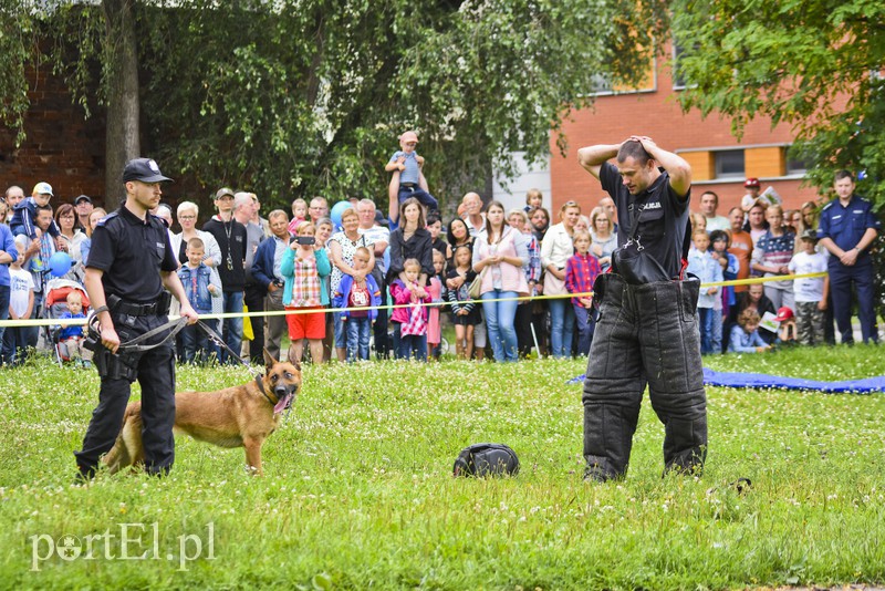 Policyjny festyn na bulwarze zdjęcie nr 156805