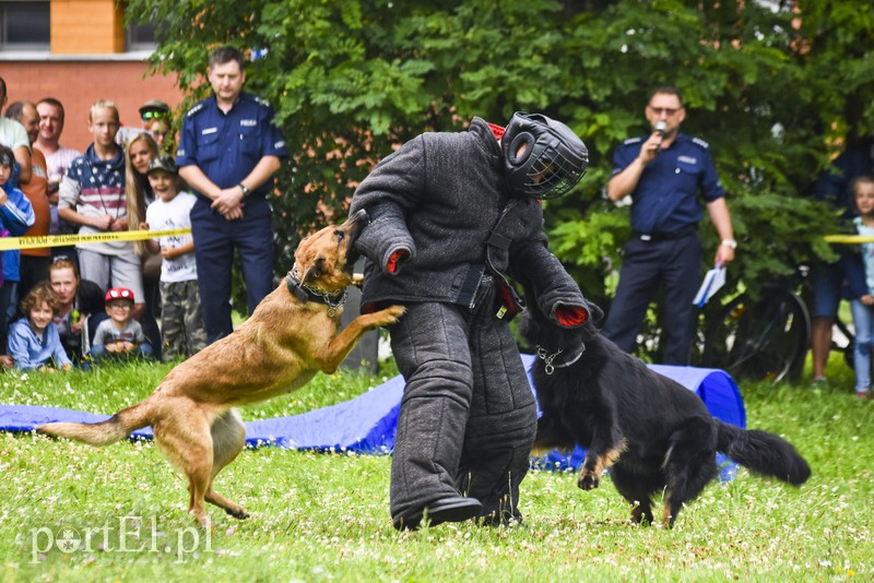 Policyjny festyn na bulwarze zdjęcie nr 156799