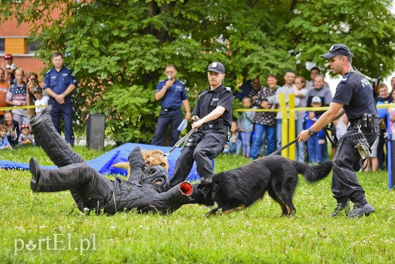 Policyjny festyn na bulwarze zdjęcie nr 156803