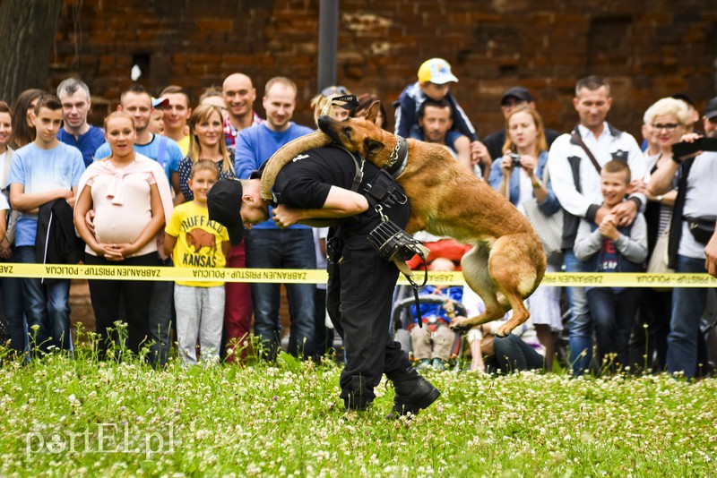 Policyjny festyn na bulwarze zdjęcie nr 156784