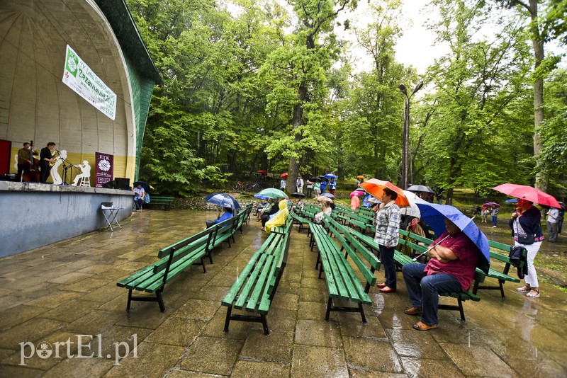 Jazz w strugach deszczu zdjęcie nr 156765