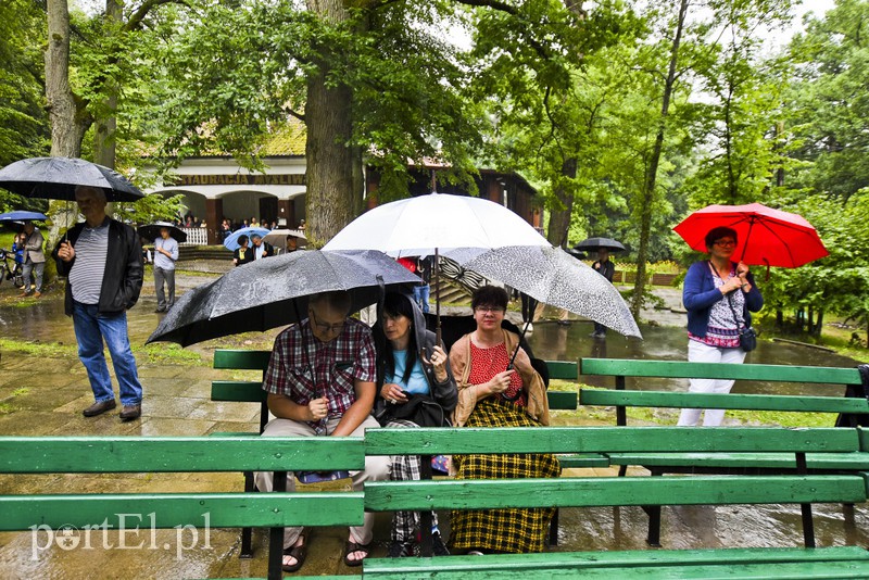 Jazz w strugach deszczu zdjęcie nr 156767