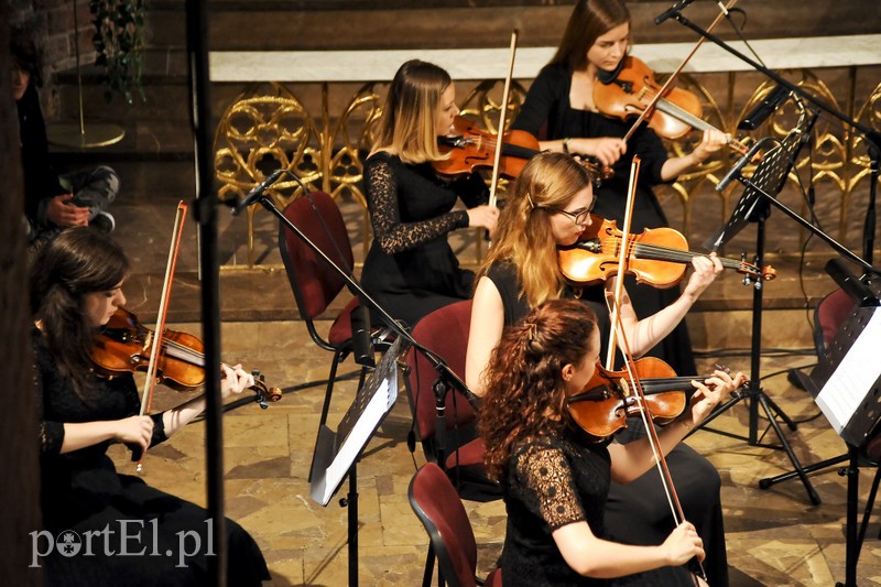Vołosi rozgrzali elbląską publiczność zdjęcie nr 156910