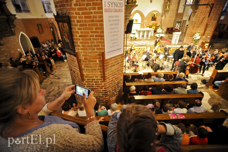 Vołosi rozgrzali elbląską publiczność zdjęcie nr 156913