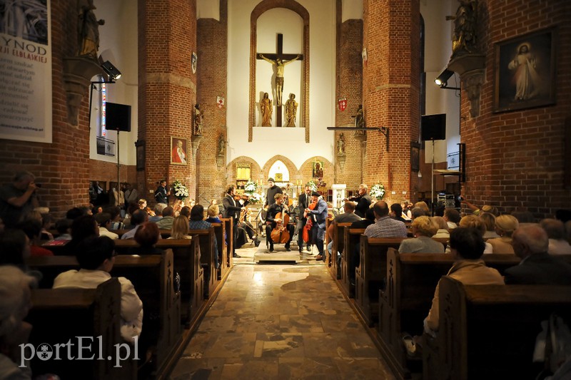 Vołosi rozgrzali elbląską publiczność zdjęcie nr 156914