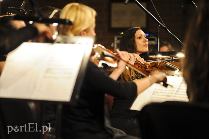 Vołosi rozgrzali elbląską publiczność zdjęcie nr 156897