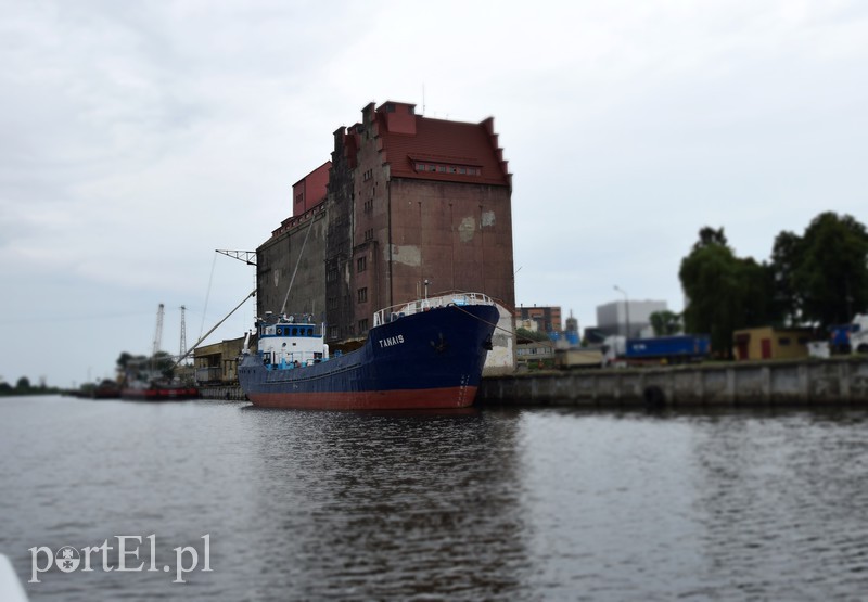 Mało słoneczny patrol zdjęcie nr 157465