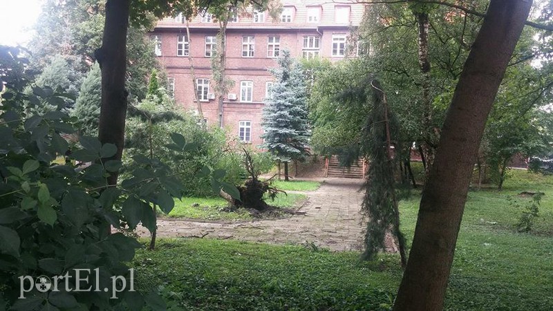 Elbląg Burza szalała nad regionem