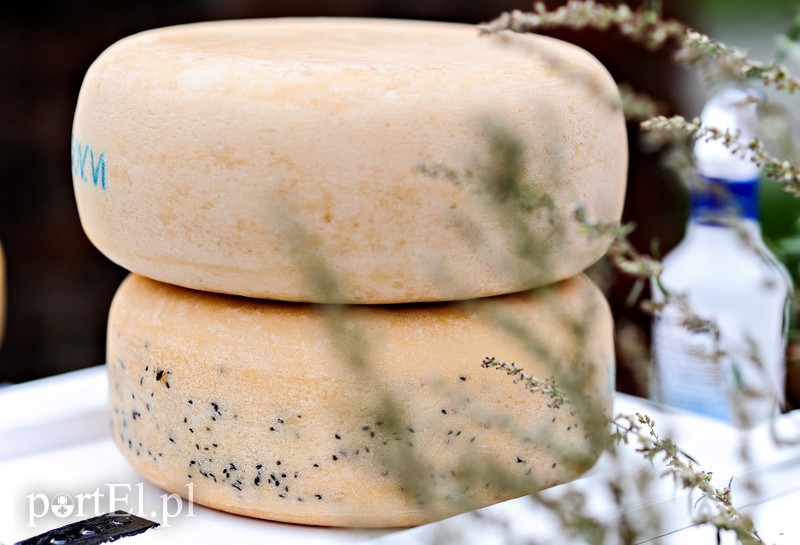 Biblioteka serem pachnąca zdjęcie nr 158319