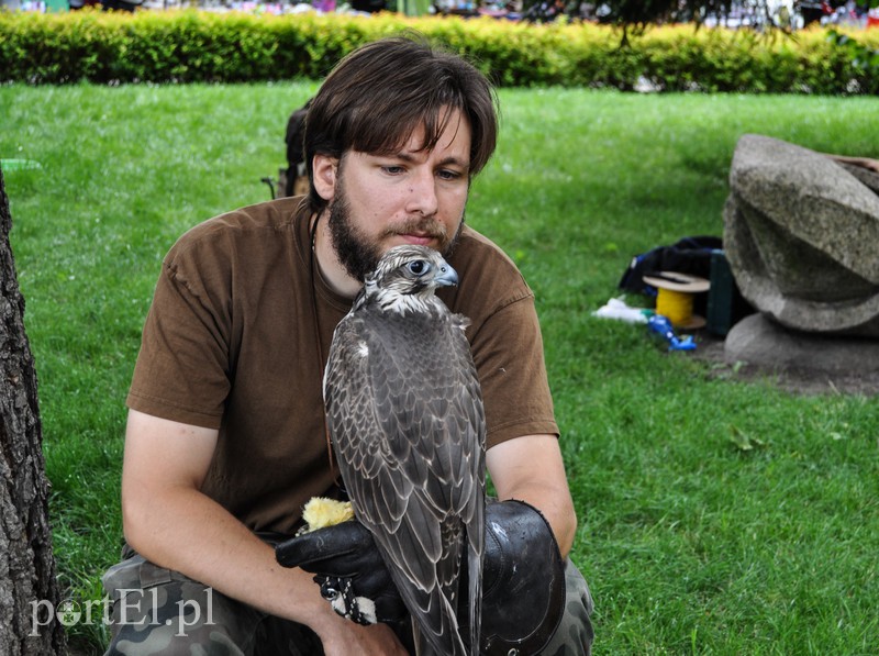 Elbląg Jarmark, który odbywa się po sąsiedzku