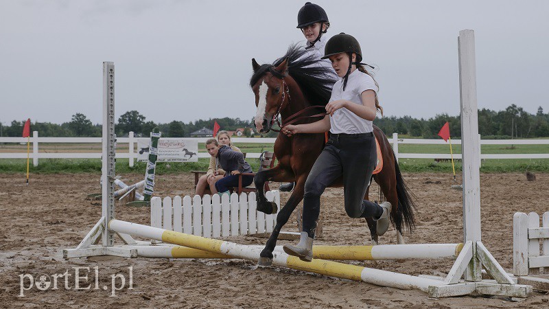  Trzecie zawody z cyklu Pony Cup już za nami zdjęcie nr 158532