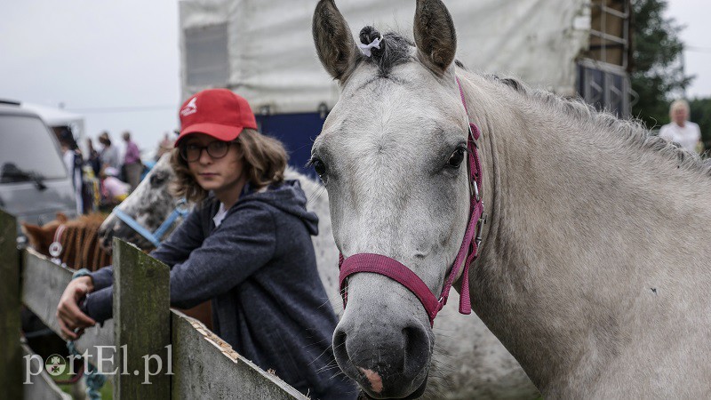  Trzecie zawody z cyklu Pony Cup już za nami zdjęcie nr 158525