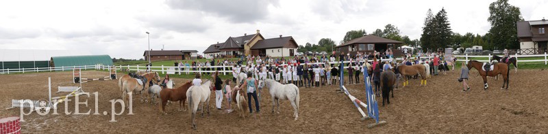  Trzecie zawody z cyklu Pony Cup już za nami zdjęcie nr 158544