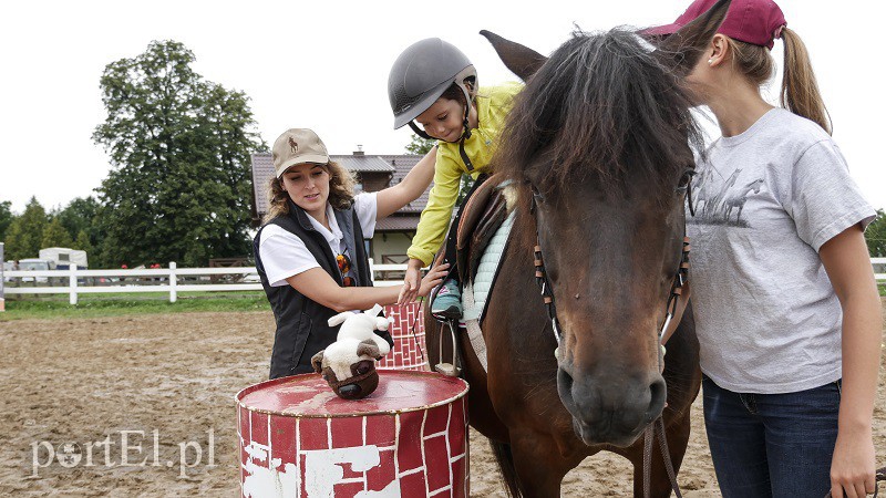  Trzecie zawody z cyklu Pony Cup już za nami zdjęcie nr 158523