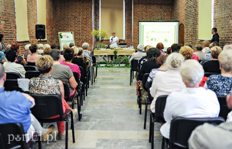 Elbląg Tu jadano smacznie i pomysłowo