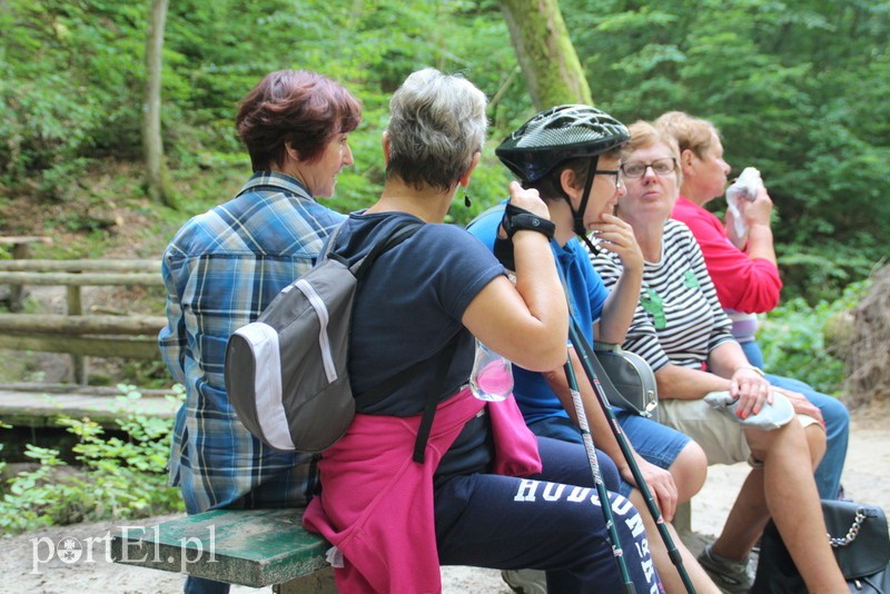 Wczoraj Vogelsang, dzisiaj Bażantarnia zdjęcie nr 158786