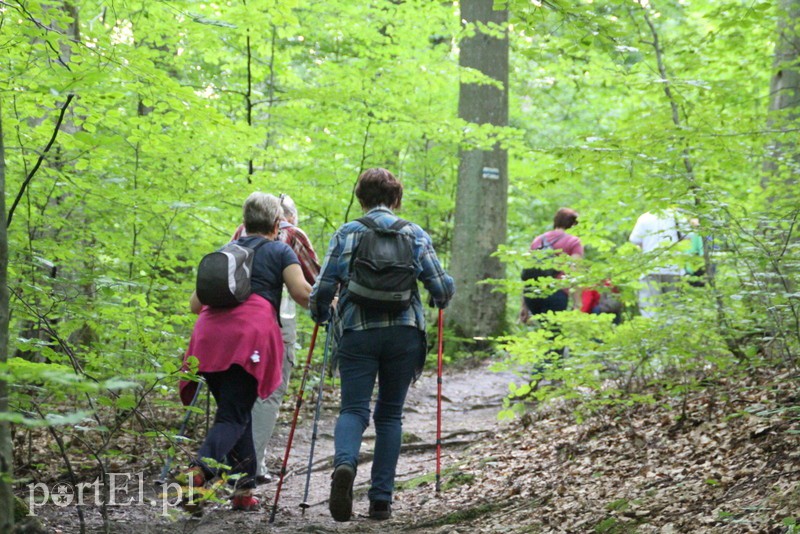 Wczoraj Vogelsang, dzisiaj Bażantarnia zdjęcie nr 158782