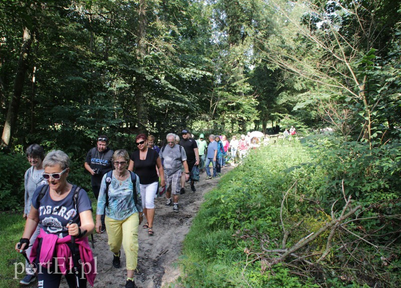 Wczoraj Vogelsang, dzisiaj Bażantarnia zdjęcie nr 158772
