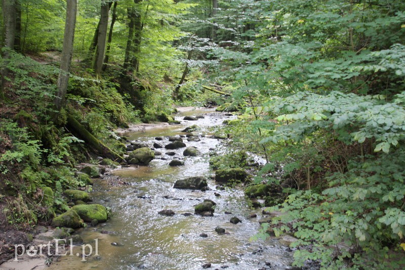 Wczoraj Vogelsang, dzisiaj Bażantarnia zdjęcie nr 158785