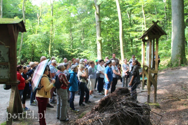 Wczoraj Vogelsang, dzisiaj Bażantarnia zdjęcie nr 158790