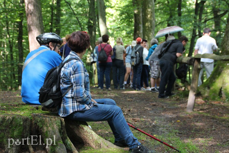 Wczoraj Vogelsang, dzisiaj Bażantarnia zdjęcie nr 158779