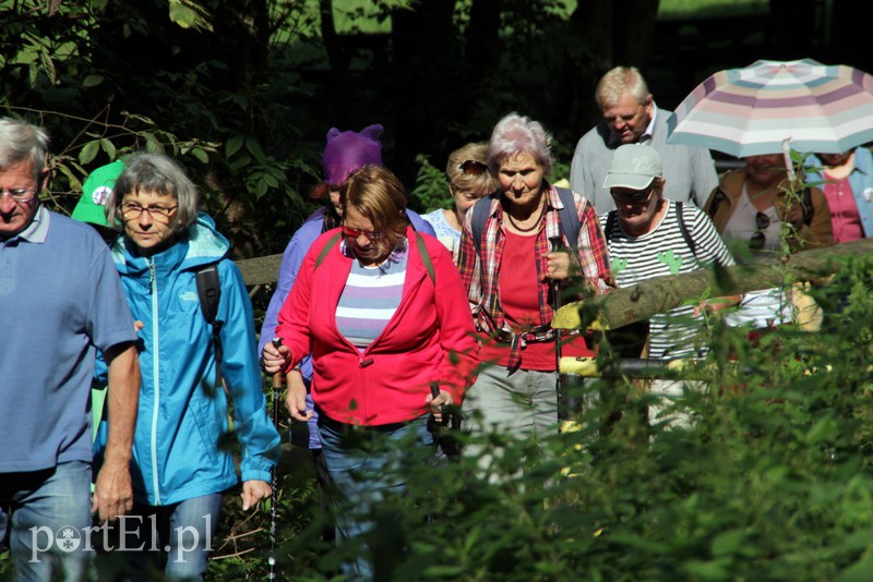Wczoraj Vogelsang, dzisiaj Bażantarnia zdjęcie nr 158771