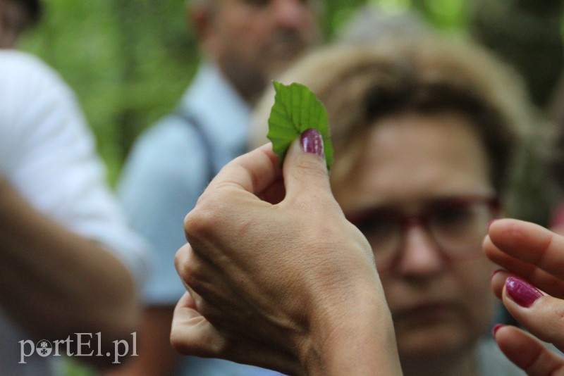 Wczoraj Vogelsang, dzisiaj Bażantarnia zdjęcie nr 158780