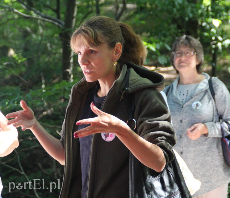 Wczoraj Vogelsang, dzisiaj Bażantarnia zdjęcie nr 158789