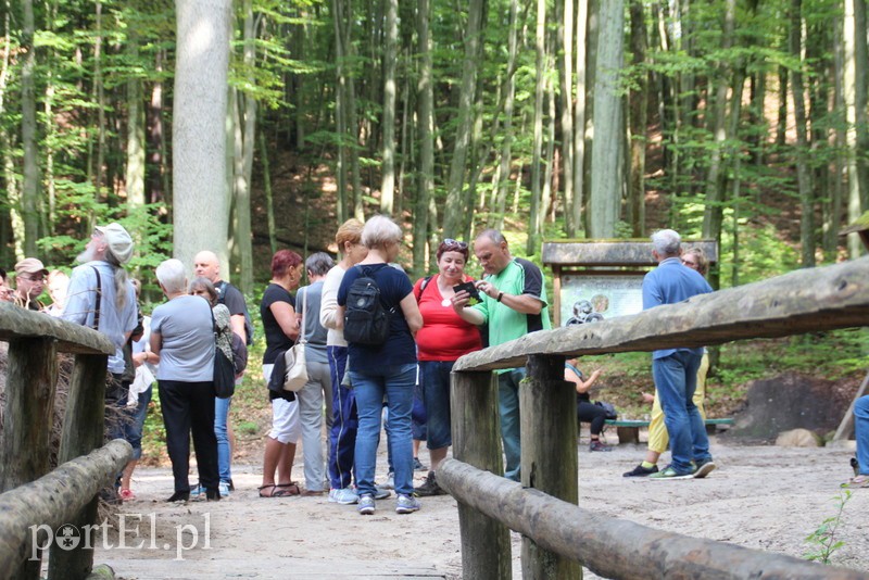 Wczoraj Vogelsang, dzisiaj Bażantarnia zdjęcie nr 158787