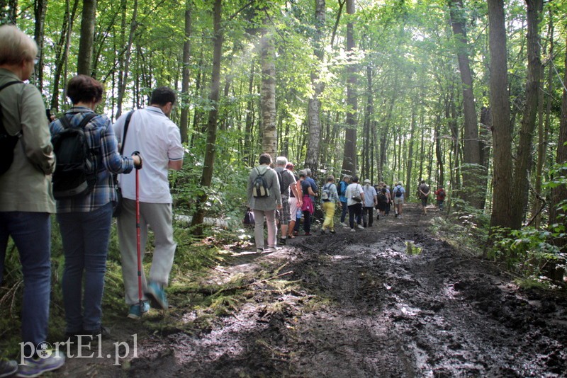 Wczoraj Vogelsang, dzisiaj Bażantarnia zdjęcie nr 158773