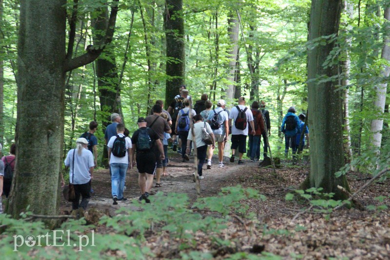 Wczoraj Vogelsang, dzisiaj Bażantarnia zdjęcie nr 158777
