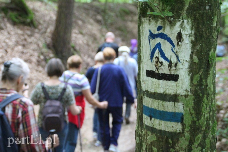 Wczoraj Vogelsang, dzisiaj Bażantarnia zdjęcie nr 158784