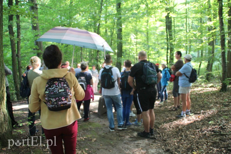 Wczoraj Vogelsang, dzisiaj Bażantarnia zdjęcie nr 158775