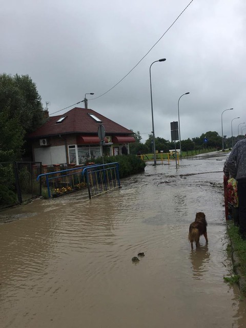 Ulewa w Suchaczu zdjęcie nr 158905