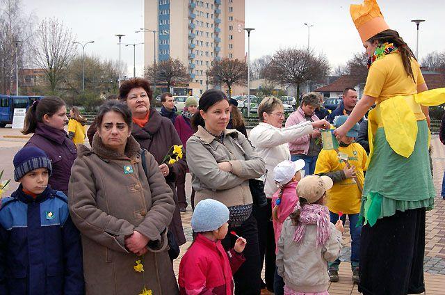 Elbląg Żonkilowa sobota