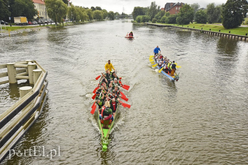 Elbląg Za mundurem smocze łodzie sznurem