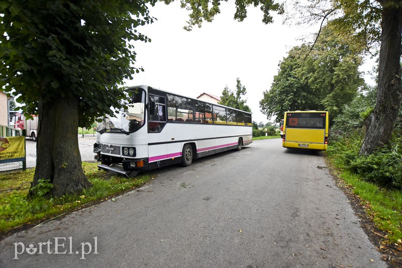 Autokar z dziećmi uderzył w drzewo zdjęcie nr 159578