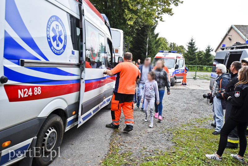 Autokar z dziećmi uderzył w drzewo zdjęcie nr 159587