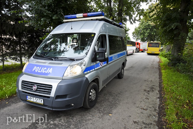 Autokar z dziećmi uderzył w drzewo zdjęcie nr 159579