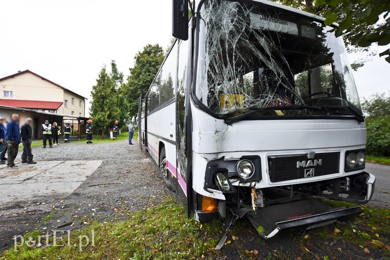 Autokar z dziećmi uderzył w drzewo zdjęcie nr 159574