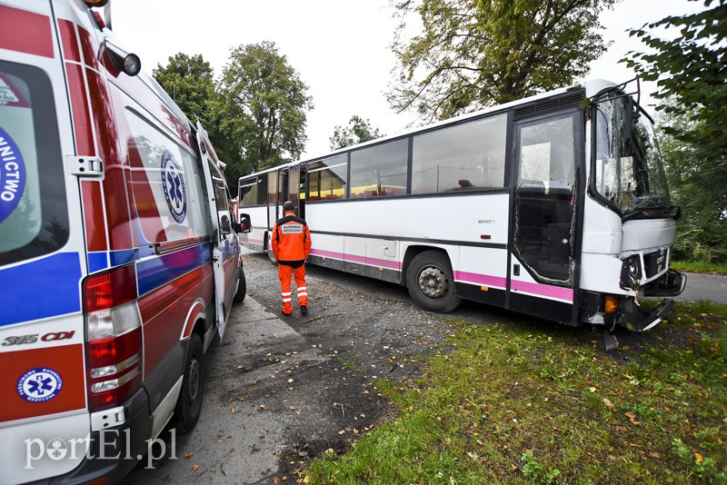 Autokar z dziećmi uderzył w drzewo zdjęcie nr 159584