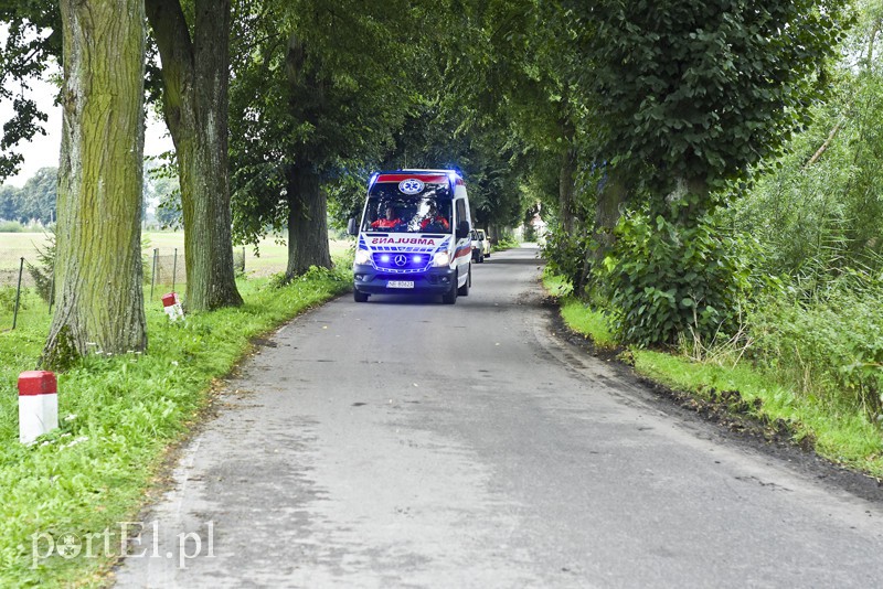 Autokar z dziećmi uderzył w drzewo zdjęcie nr 159586