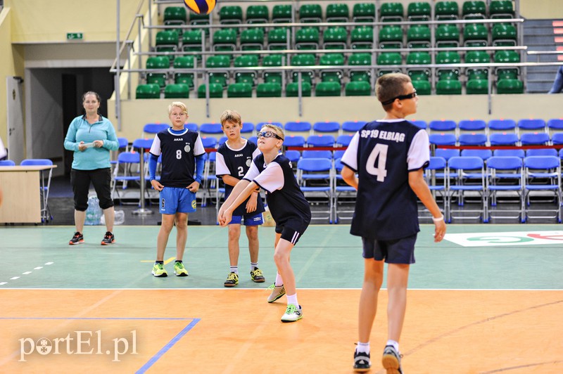 Trening pod okiem Anastasiego zdjęcie nr 159779