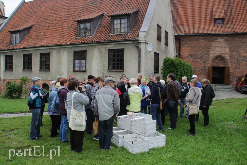 Reformacja po elbląsku zdjęcie nr 160030