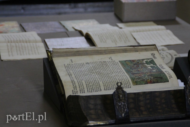 Reformacja po elbląsku zdjęcie nr 160029